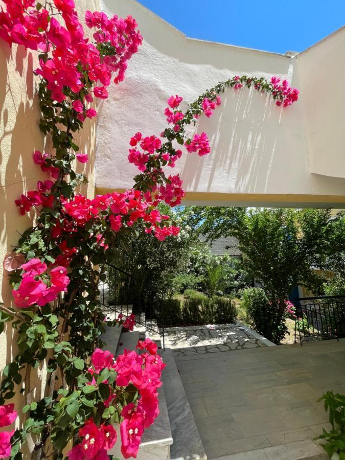 Sunflower Apartments & Studios Касиопи Екстериор снимка